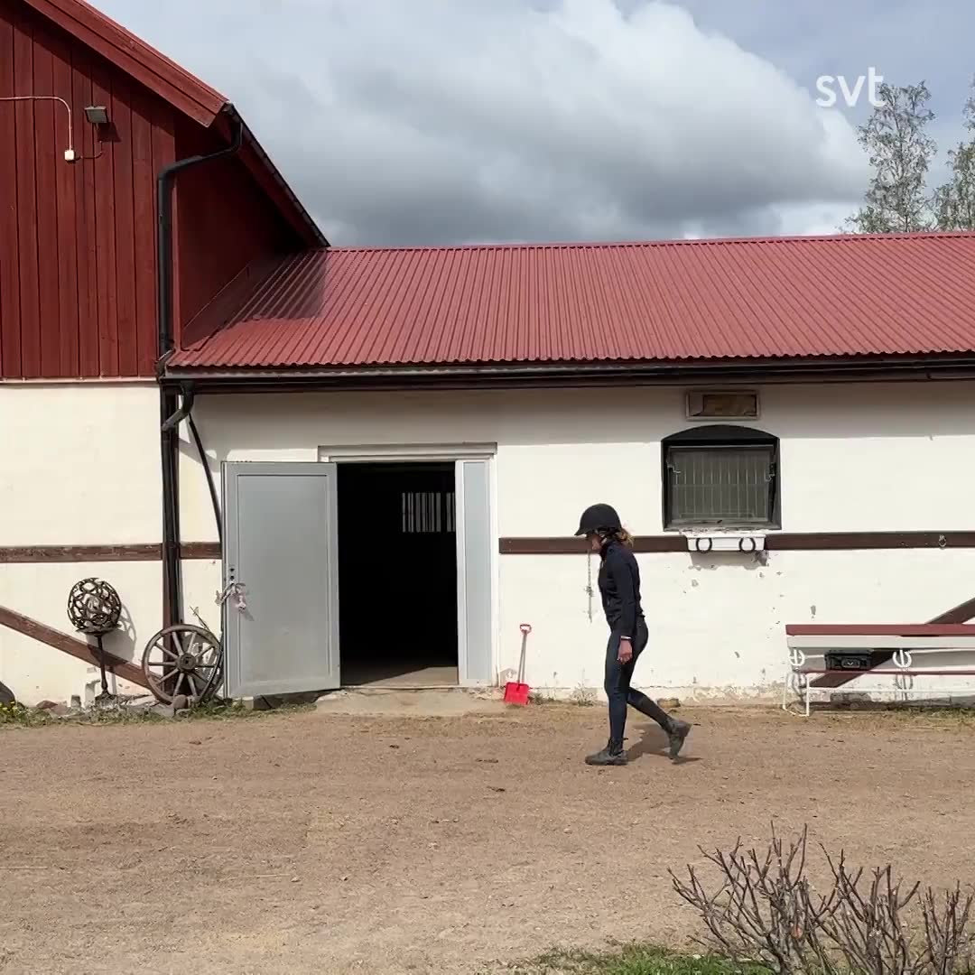Terese stall drabbades av kvarka – nu uppmanas hästägare att vaccinera